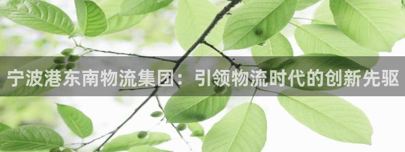 28圈比特28真实吗