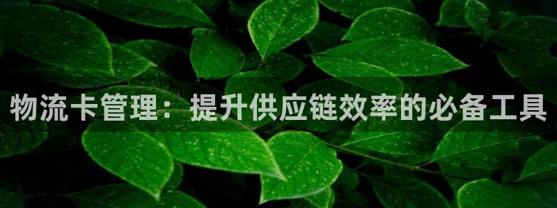 28圈模拟器在线玩
