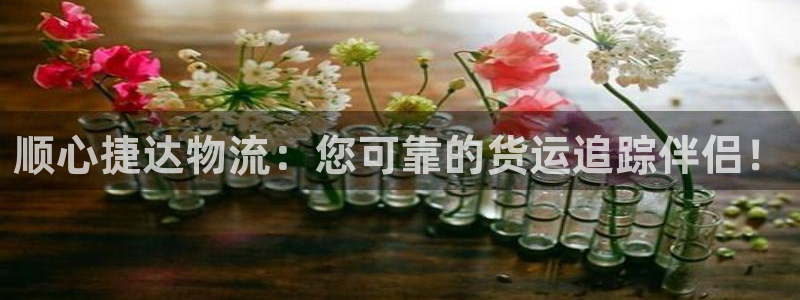 28圈初始资金密码在哪里改