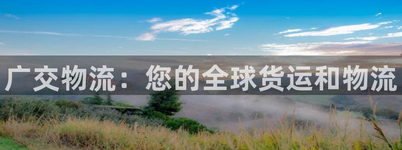 28圈辅助