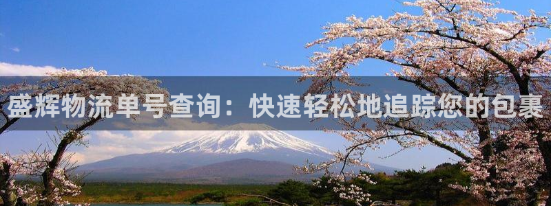 28圈注册问一问:盛辉物流单号查询: