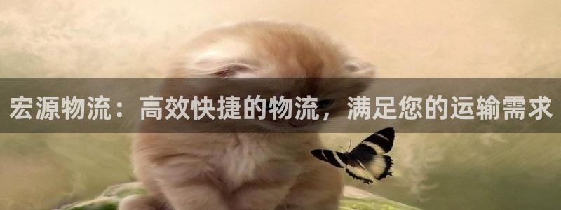 28圈返水怎么算的
