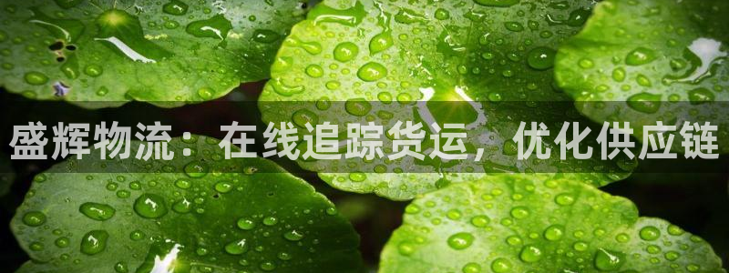 28圈客服一直不回消息怎么办