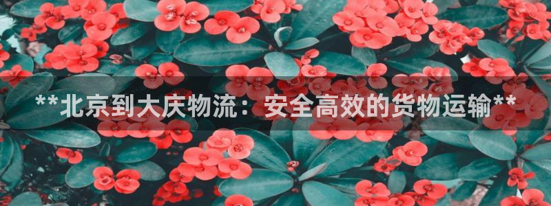 28圈app能退款吗