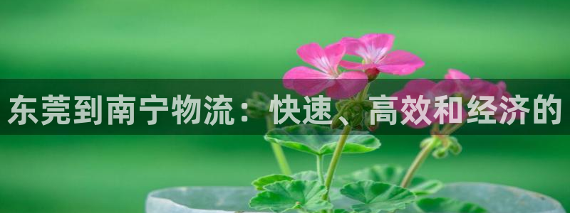 28圈昵称