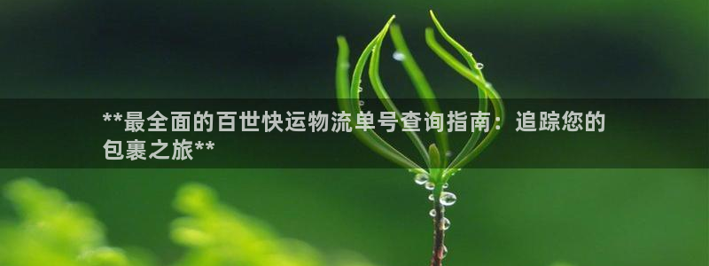 28圈注册登录链接流程：**最全面的