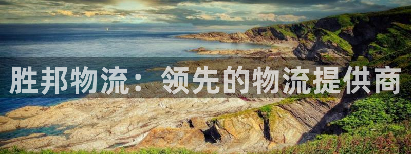 28圈新用户怎么注册:胜邦物流:领先