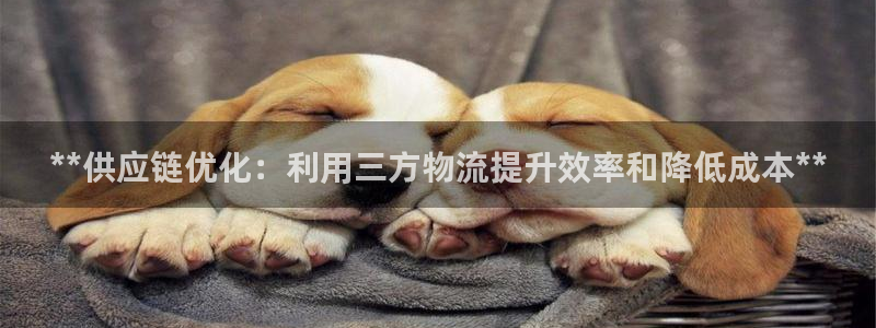28圈加拿大2.8预测在线预测