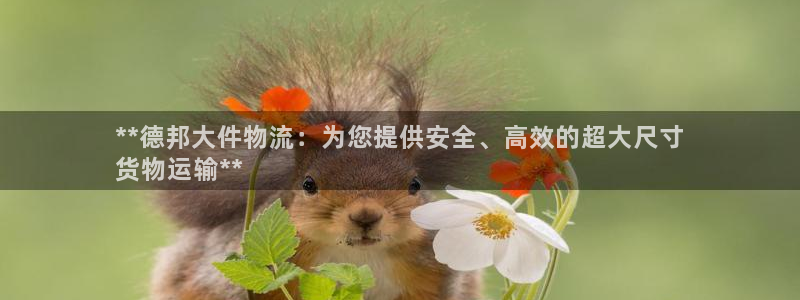 28圈官方网站是多少