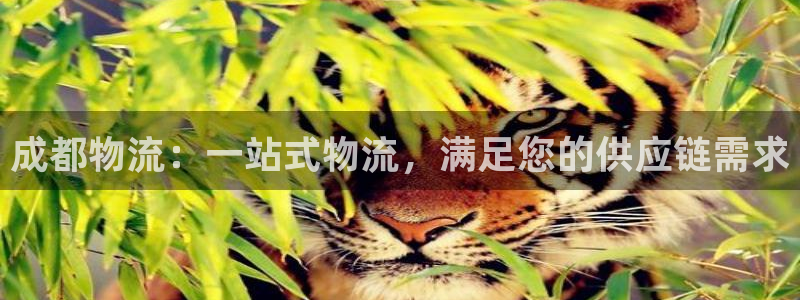 28圈加拿大28