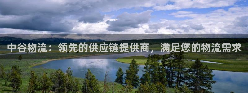 28圈黑款