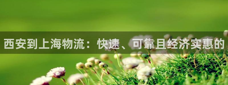 28圈娱乐官网网页入口