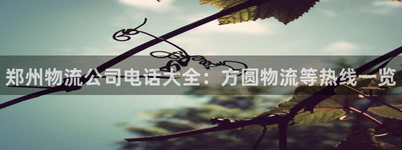 28圈游戏