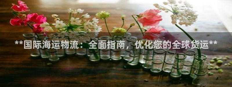 28圈登录用户名登录不上