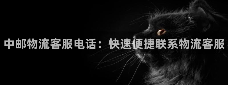 28圈pc预测