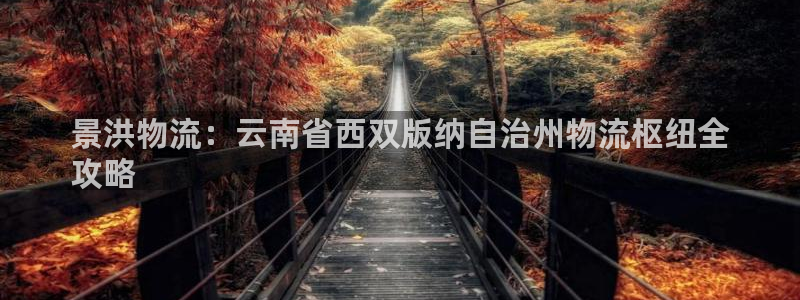 28圈注册链接入口