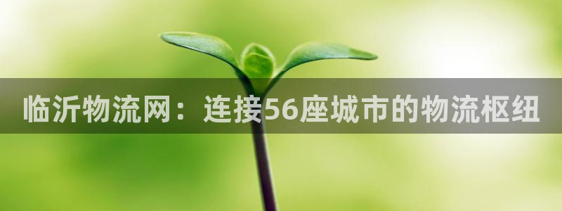 28圈娱乐官网网页入口