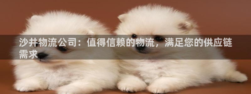 28圈开奖预测