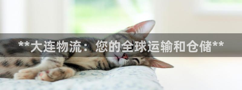 28圈为什么打不开