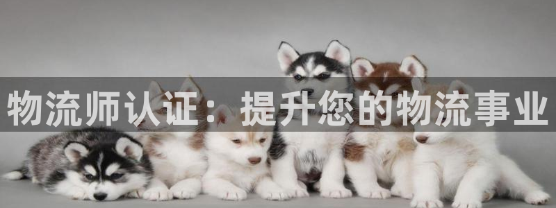 28圈ip被限制怎么解决