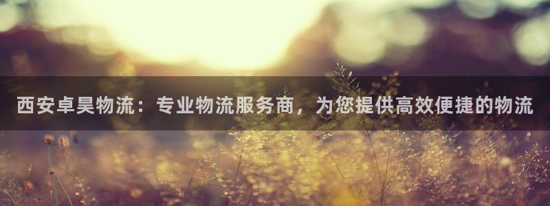 28圈系统自动保护