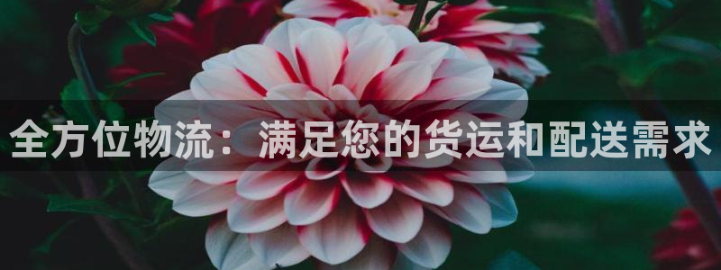 28圈登录用户名登录不上