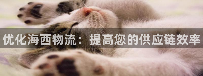 28圈连输10天