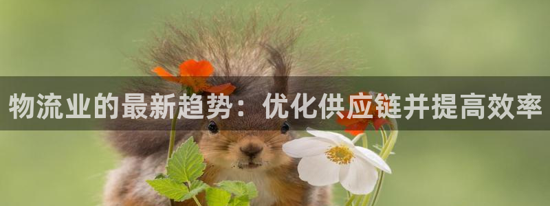 28圈入口问一问