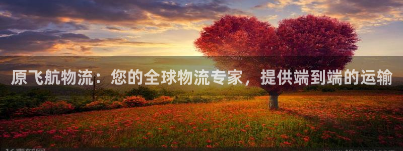 28圈二维码