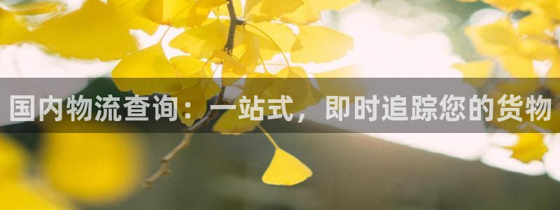 28圈图片