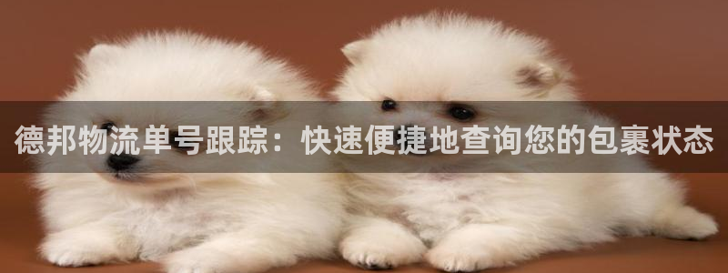 28圈注册用户名是什么