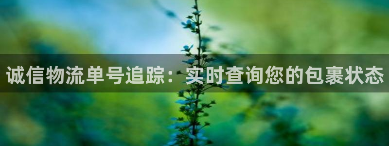 28圈如何注销账号