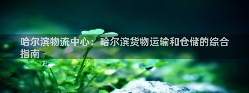 28圈注册网站多少