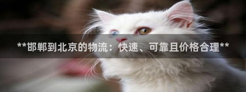 28圈注册网站APP