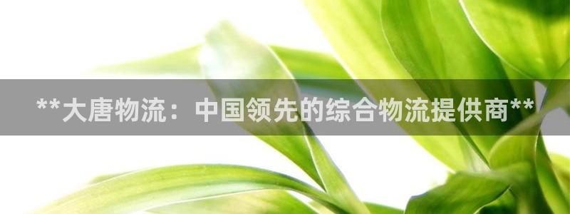 28圈犯法吗