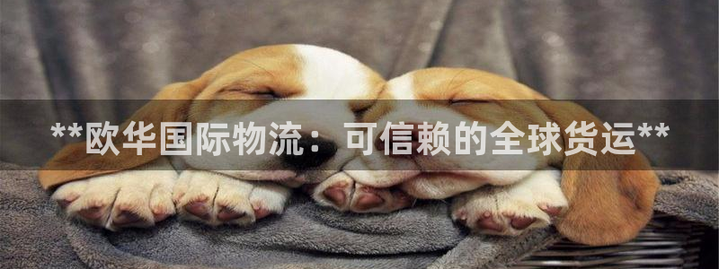 28圈app能退款吗