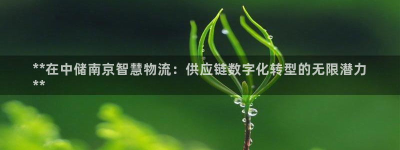 28圈怎么注册