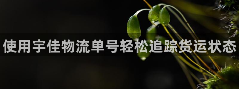28圈官网下载链接是什么网站