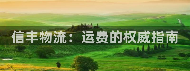 28圈注册网站链接是什么