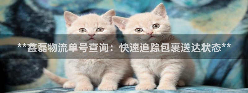 28圈的自行车