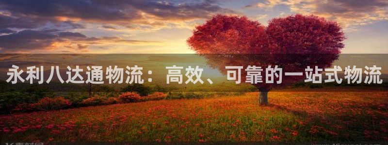 28圈官方版网站