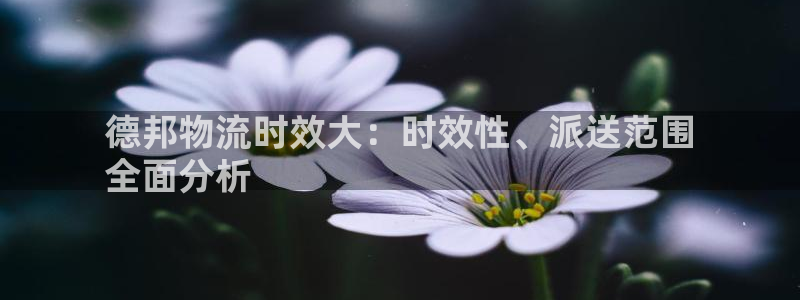 28圈能赢钱吗