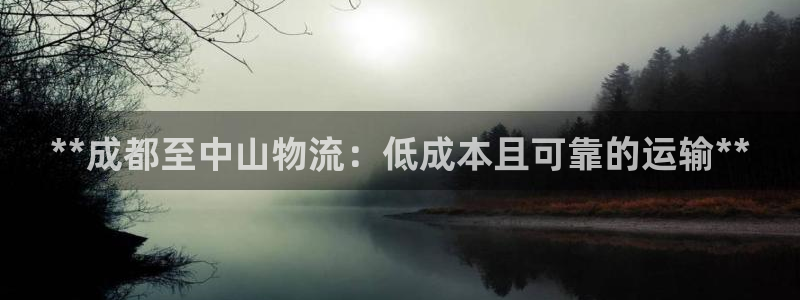 28圈注册号