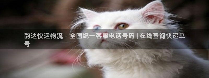 28圈p扣款什么意思