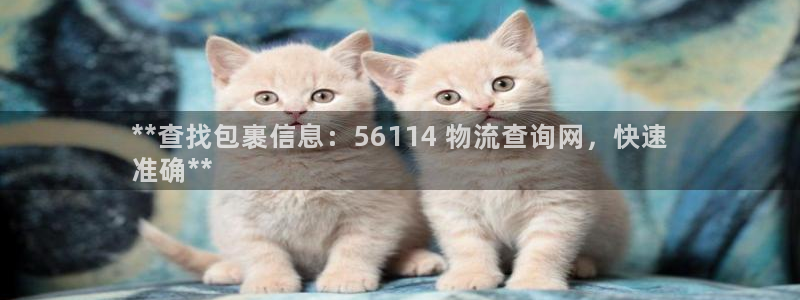 28圈官网下载链接是什么网站