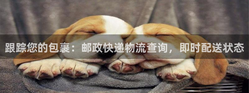 28圈里的财神