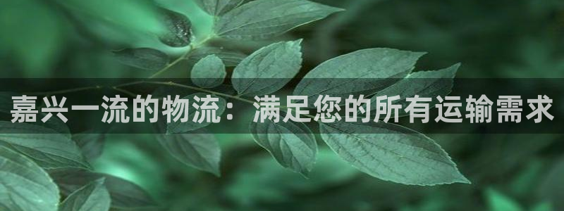 28圈注册网址百度知道：嘉兴一流的物