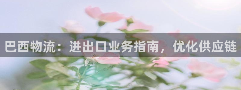 28圈比特28预测在线预测