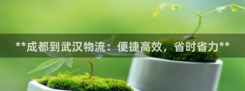 28圈加拿大走势