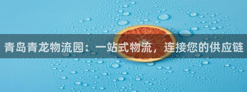 28圈官方网站预测